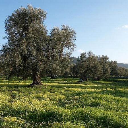 Minicasa Nella Natura, Con Piscina A Due Passi Ostuni Exterior photo