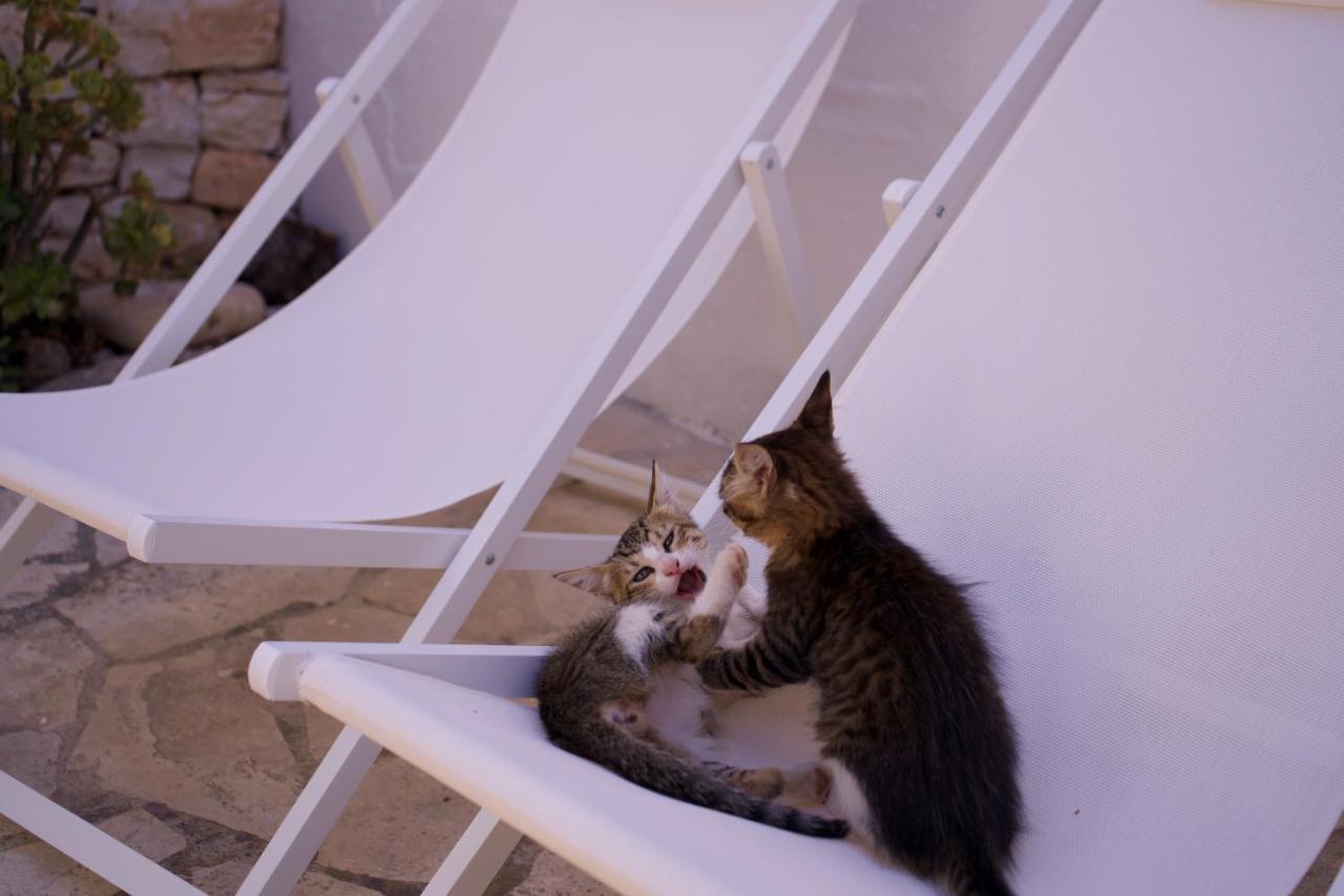 Minicasa Nella Natura, Con Piscina A Due Passi Ostuni Exterior photo