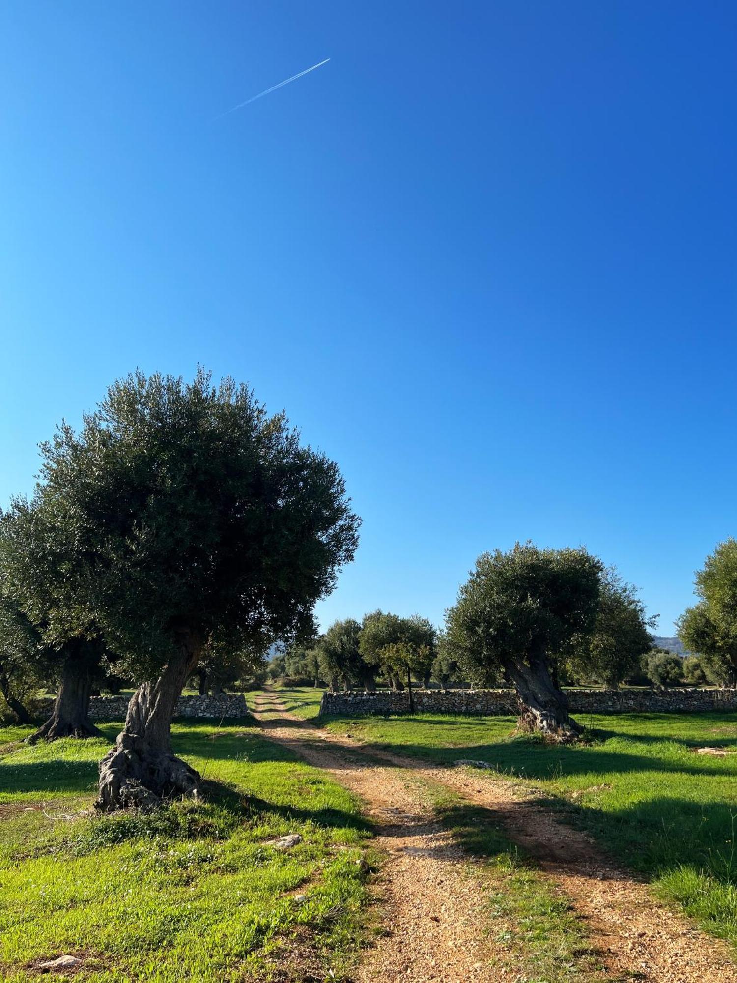 Minicasa Nella Natura, Con Piscina A Due Passi Ostuni Exterior photo